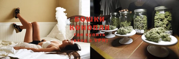 мескалин Богданович