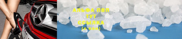 мескалин Богданович